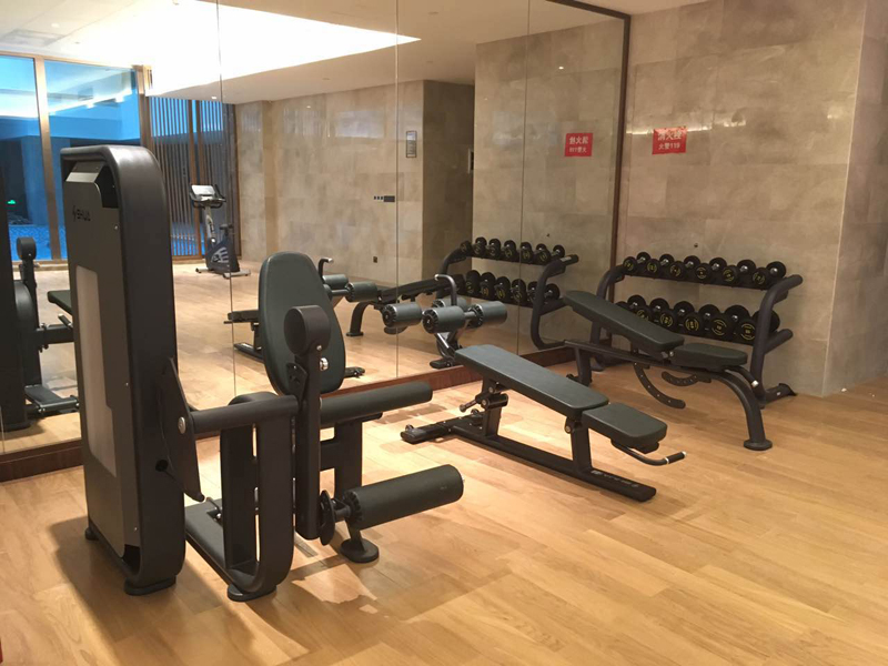 酒店健身房器材,室内健身器材,高端商用健身器材-广西suncitygroup太阳集团体育健身器材有限公司