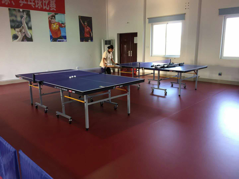 室内健身器材,单位健身器材,健身器材十大品牌-广西suncitygroup太阳集团体育健身器材有限公司