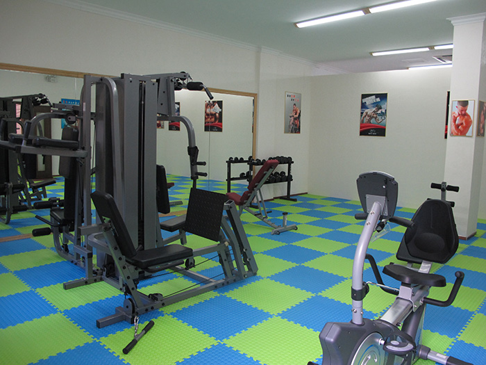 室内健身器材,单位健身器材,健身器材十大品牌-广西suncitygroup太阳集团体育健身器材有限公司