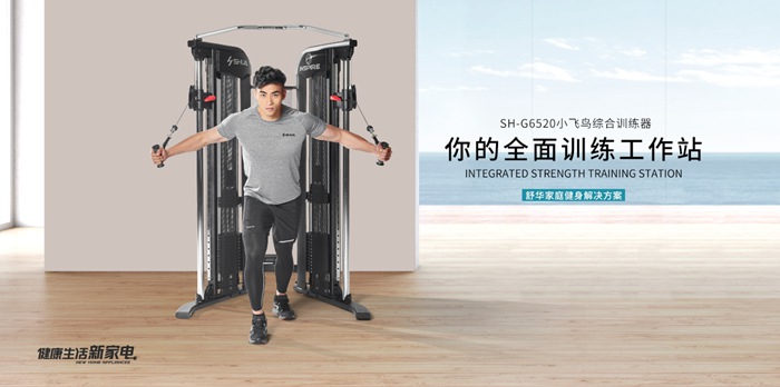 suncitygroup太阳集团健身器材-小飞鸟综合训练器SH-G6520