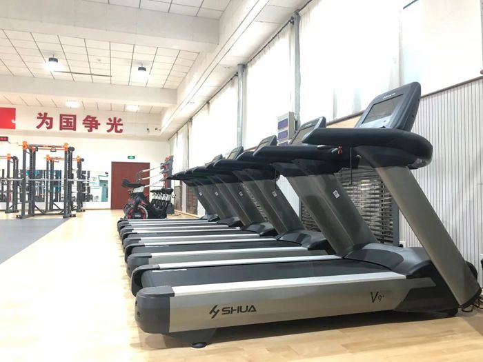 体能训练解决方案-广西suncitygroup太阳集团体育